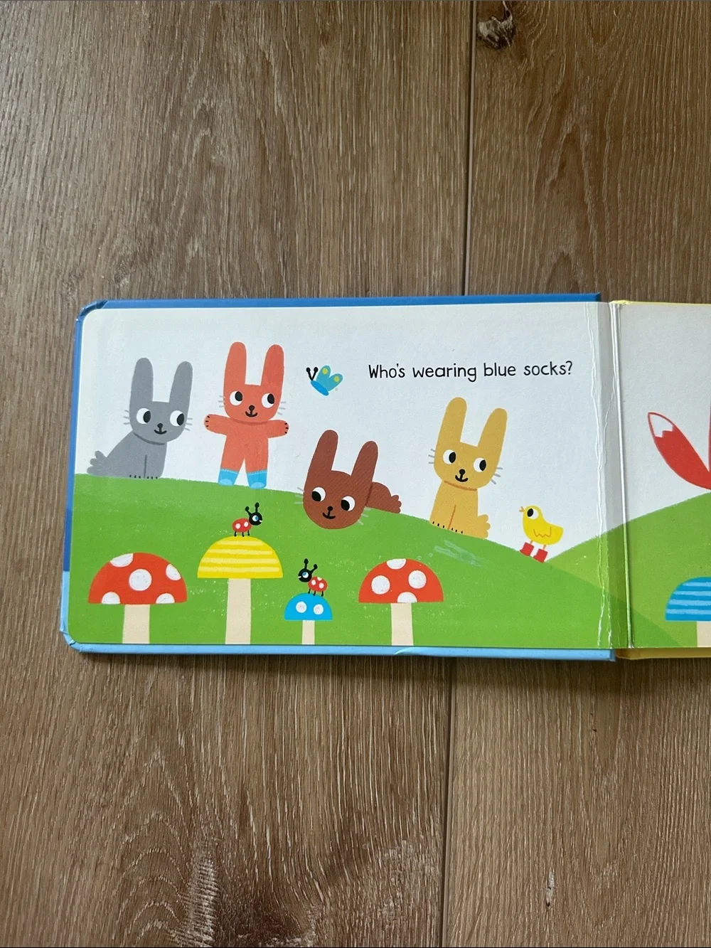 Usborne Who's Fallen Asleep? Board Book - Blue
